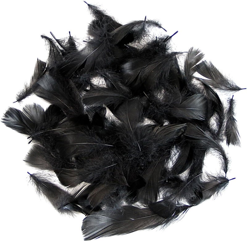 Lamar Feather 300pcs Black Feathers 2-3 Inches Bulk Feathers for Crafting, Dream Catcher Accessories, Art Projects, DIY Crafting, Handi Crafts, Party Decoration (Black) - Image 3